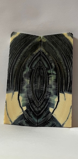 Parallel cut mammoth scales         3-1/2 X 1-1/4 X 3/16