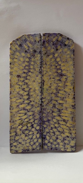 FOSSIL CORAL SCALES               4-7/16 tapers X 1-1/4 X 1/8
