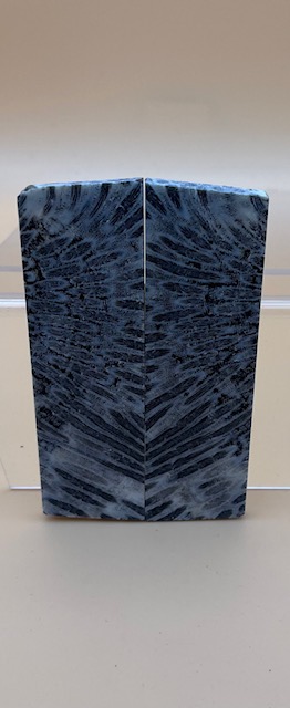 FOSSIL CORAL SCALES               3-5/16 X 1 X 1/8