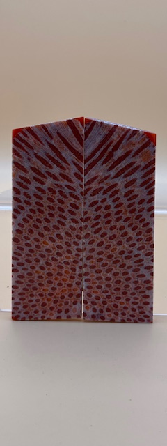 FOSSIL CORAL SCALES               3-5/8 X 1-1/4 X 1/8