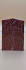 FOSSIL CORAL SCALES               3-5/8 X 1-1/4 X 1/8
