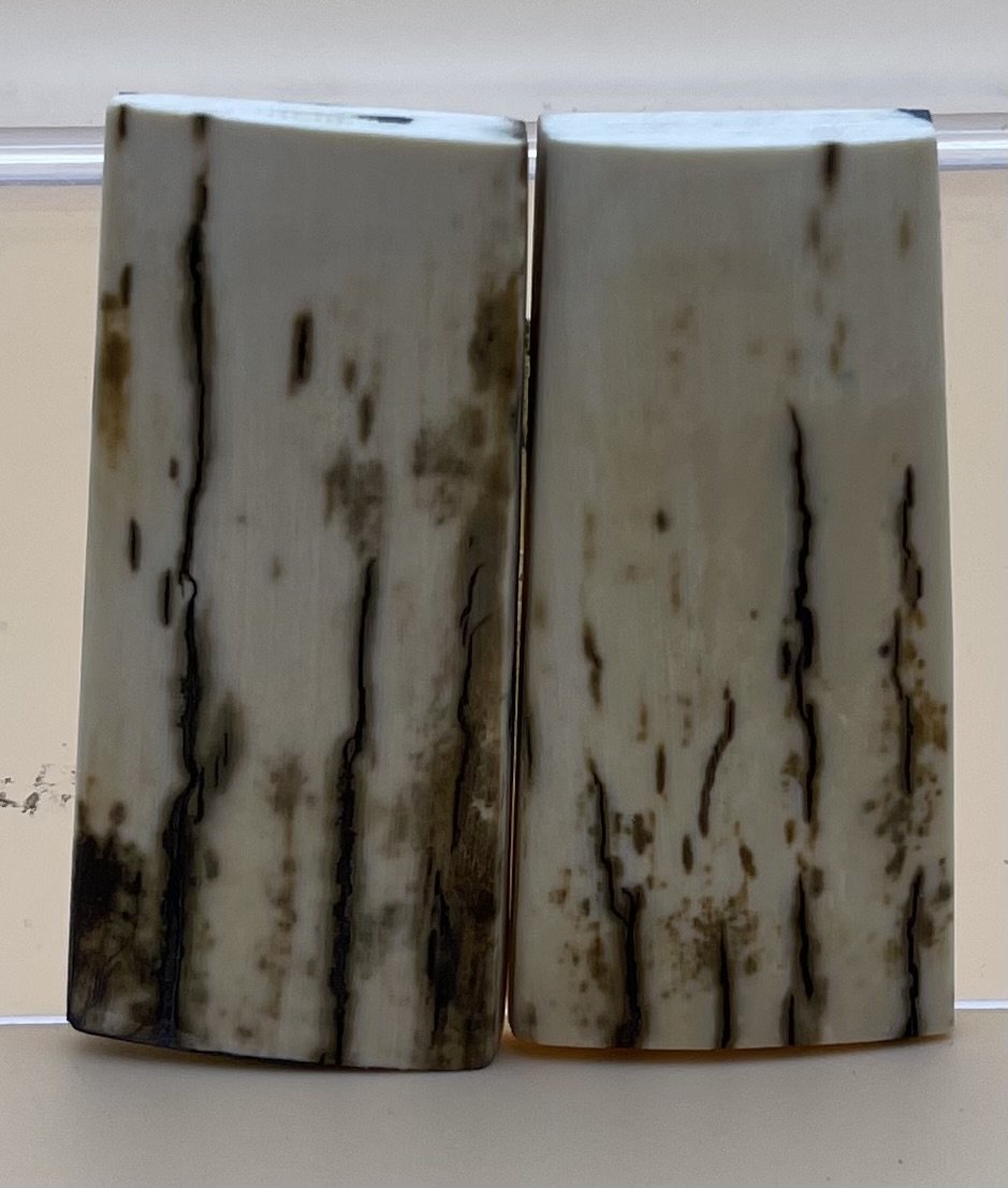  MAMMOTH IVORY SCALES         2-1/4 X 7/8 X 5/32