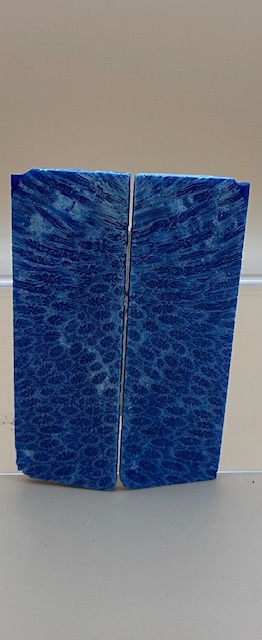 FOSSIL CORAL SCALES              3-1/4 X 1-1/16 X 1/8