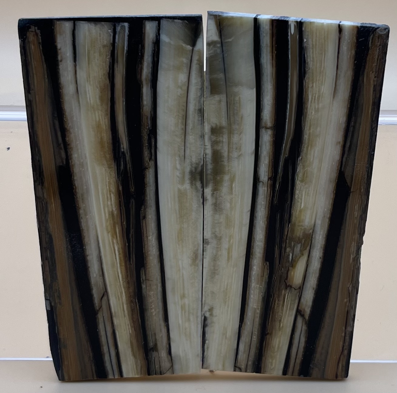 Parallel cut mammoth scales         2-7/8 X 1-1/4 X 1/8