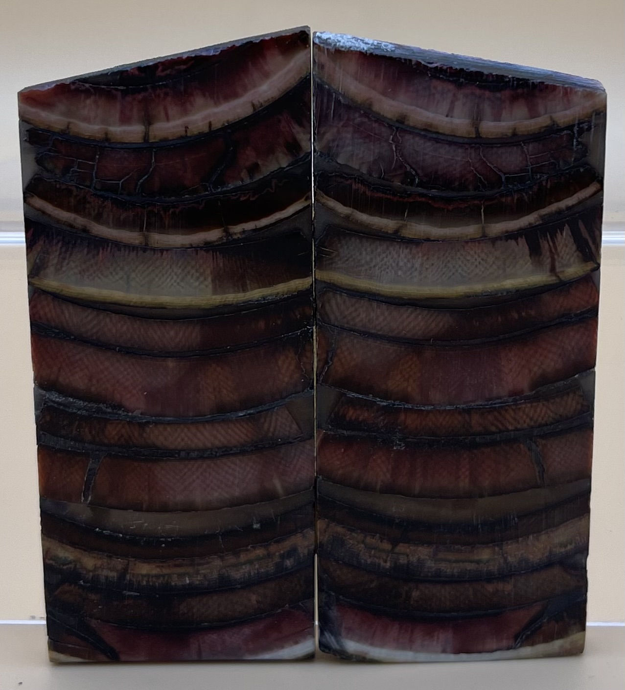 Parallel cut mammoth scales         2-15/16 tapers X 1-5/16 X 1/8