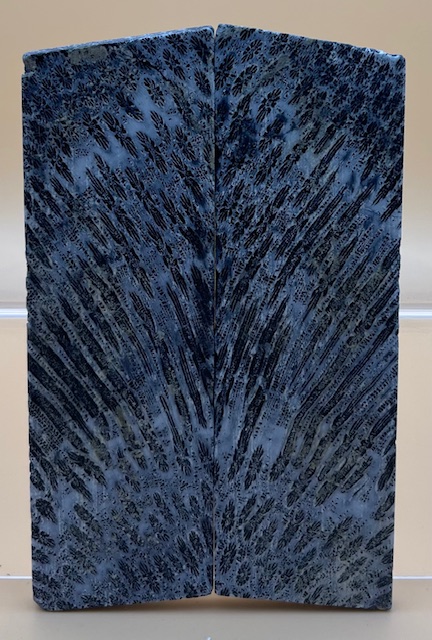 FOSSIL CORAL SCALES               4-1/16 X 1-5/16 X 3/16