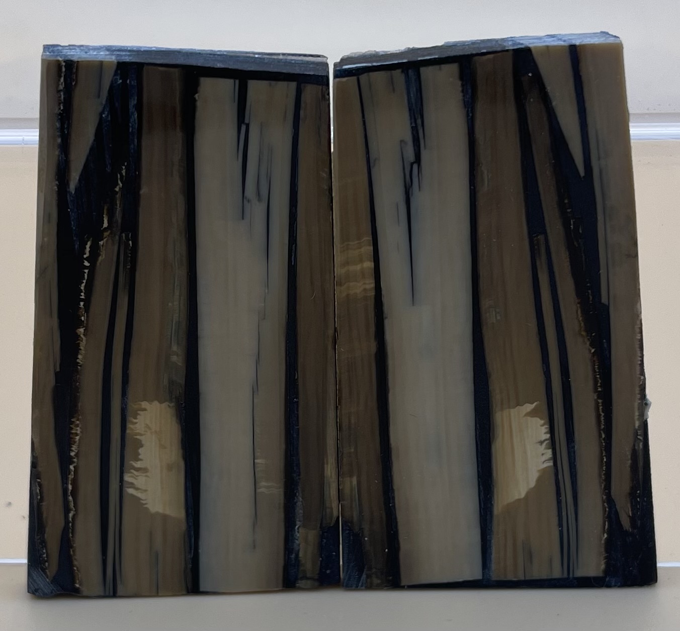 Parallel cut mammoth scales         2-1/2 X 1-3/16 X 1/8