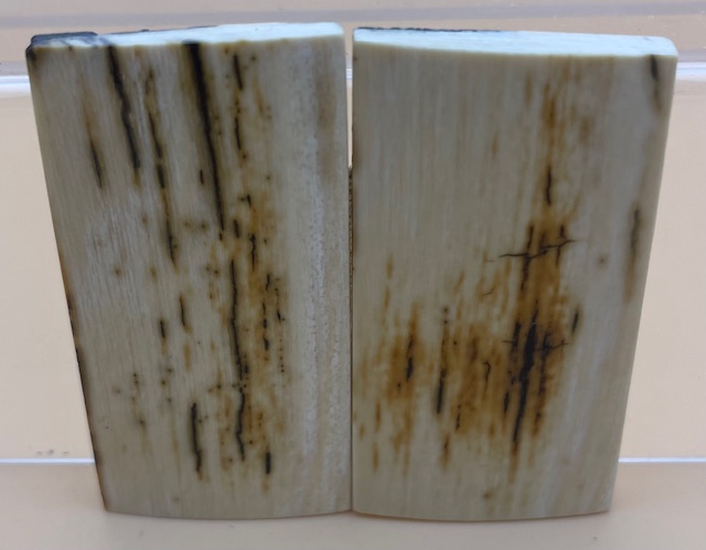  MAMMOTH IVORY SCALES             2-3/8 X 1-1/4 X 1/8