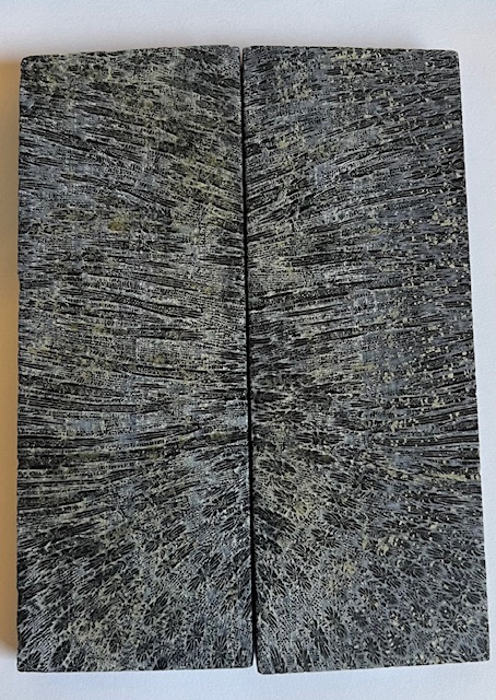 FOSSIL CORAL SCALES               4-1/2 X 1-5/8 X 5/16