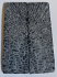 FOSSIL CORAL SCALES               3-3/16 X 1-1/16 X 1/8