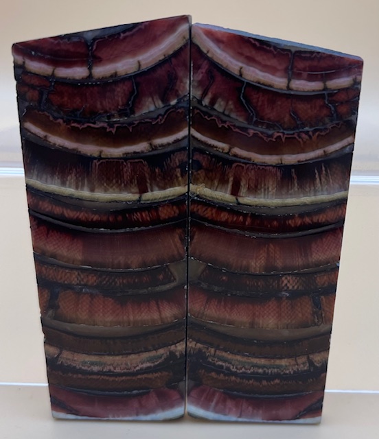 Parallel cut mammoth scales         3-3/16 X 1-3/16 X 1/8