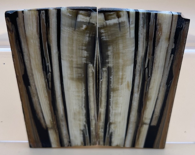 Parallel cut mammoth scales         2-7/8 X 1-7/16 X 1/8