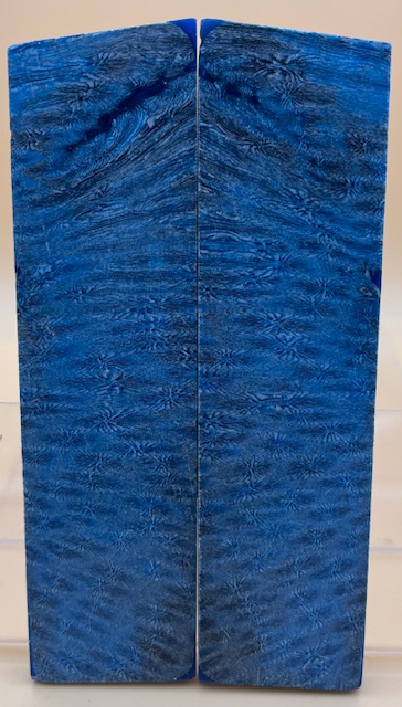 FOSSIL CORAL SCALES              5 X 1-5/16 X 7/32