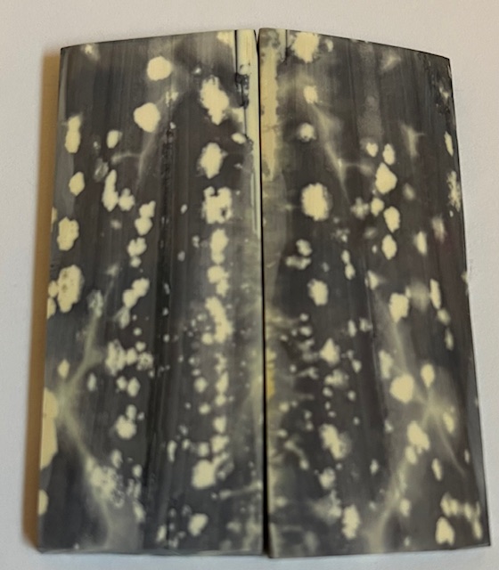 Parallel cut mammoth scales        2-3/4 X 1-1/16 X 1/8