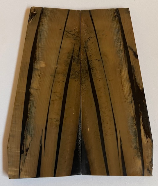 Parallel cut mammoth scales       4-1/16 X 1-5/16 to 1-1/2 X 5/32