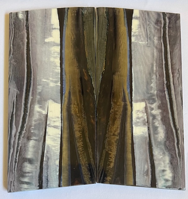 Parallel cut mammoth scales         4-3/16 X 1-7/8 X 1/8