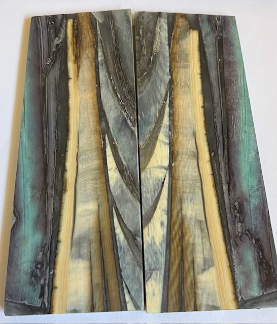 Parallel cut mammoth scales      4-1/2 X 1-3/8 to 1-3/4 X 5/32