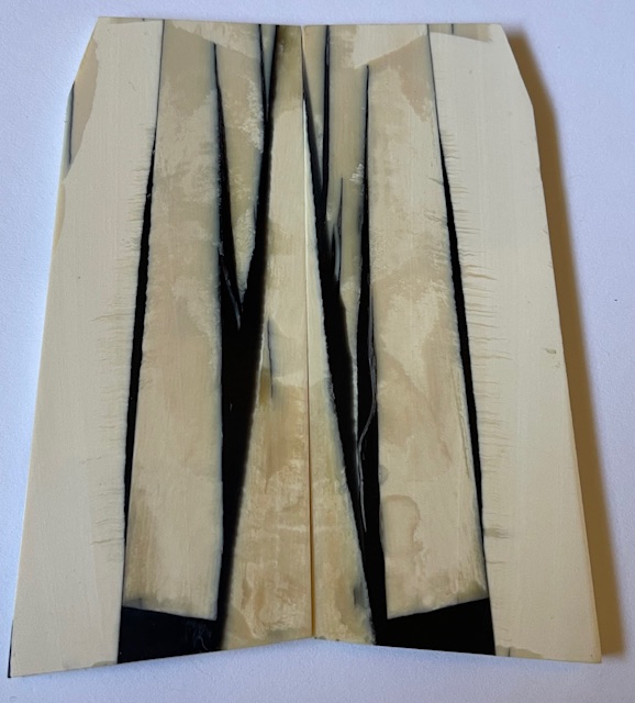 Parallel cut mammoth scales         4-1/8 X 1-7/16 to 1-5/8 X 5/32