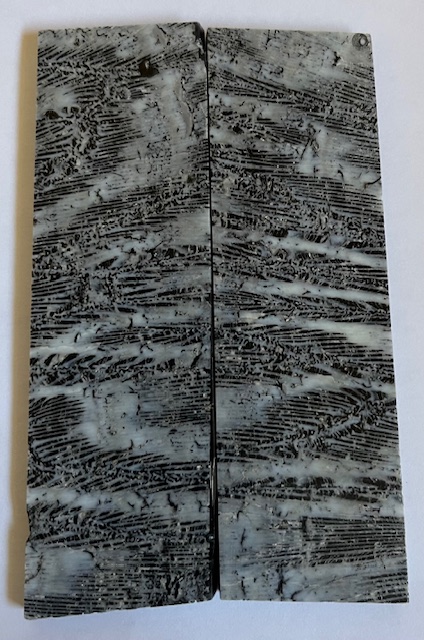 FOSSIL CORAL SCALES               4-1/8 X 1-1/4 X 5/32