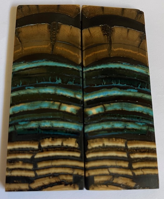 Parallel cut mammoth scales       3-3/16 X 1-1/8 X 1/8