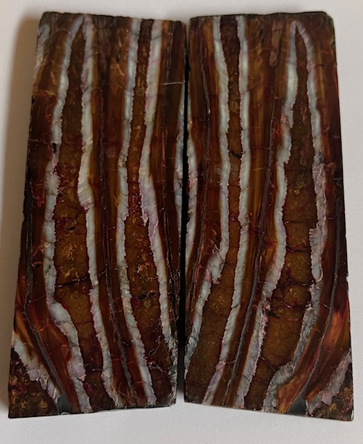 MAMMOTH TOOTH                  3-3/8 X 1-5/16 X 1/4