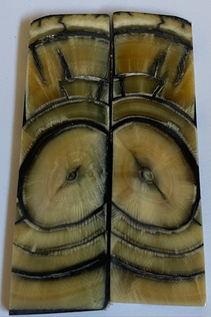 END GRAIN CUT MAMMOTH IVORY               3 X 7/8 X 1/8