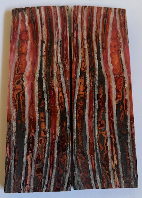 MAMMOTH TOOTH           4-5/16 X 1-3/8 X 1/4       