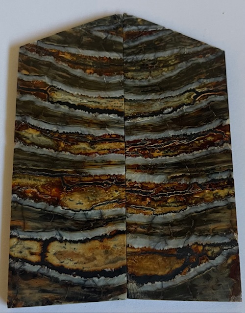 MAMMOTH TOOTH           2-15/16 tapers X 1-3/16 X 1/8