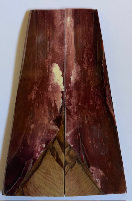 Parallel cut mammoth scales         4-1/8 X 13/16 to 1 X 1/8