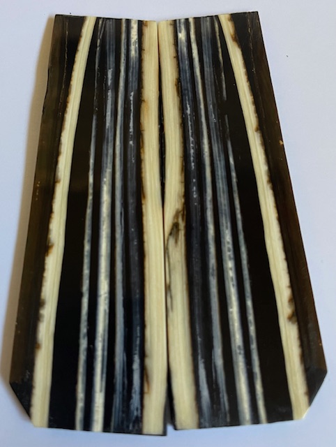 Parallel cut mammoth scales         3-7/8 X 1-1/16 X 1/8