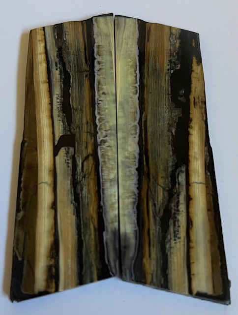 Parallel cut mammoth scales         3-3/16 X 1 1/8