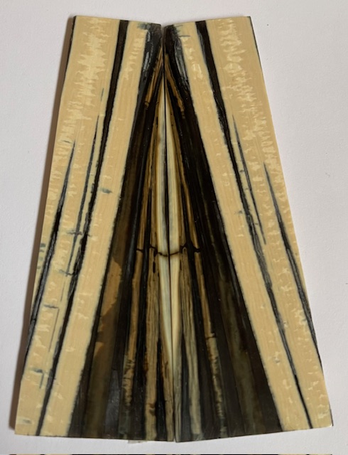 Parallel cut mammoth scales         4-1/4 X 1 to 1-3/16 X 1/16