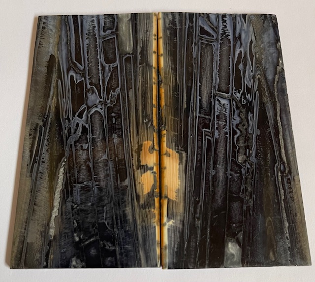 Parallel cut mammoth scales         3-3/8 X 1-5/8 X 1/16