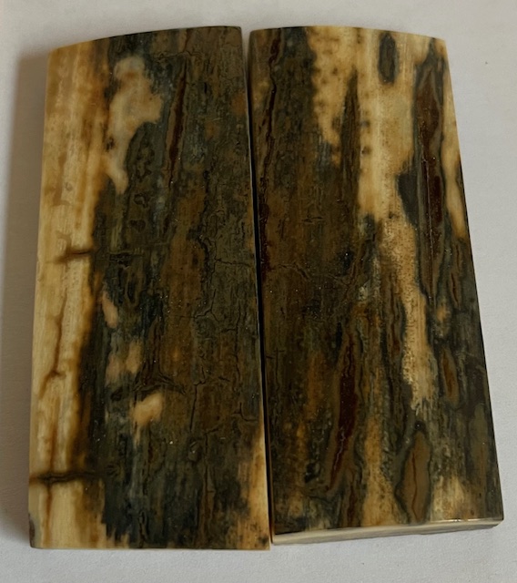  MAMMOTH IVORY SCALES             2-3/4 X 1-1/8 X 1/4