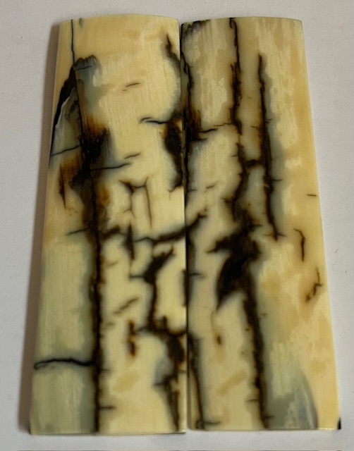  MAMMOTH IVORY SCALES             3-1/8 X 15/16 X 1/8