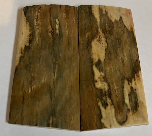  MAMMOTH IVORY SCALES             2-13/16 X 1-3/8 X 1/8