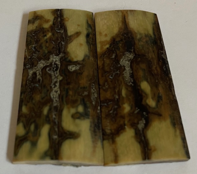  MAMMOTH IVORY SCALES             2-1/4 X 15/16 X 1/8