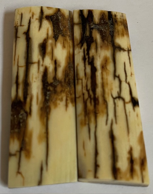  MAMMOTH IVORY SCALES             2-5/8 X 7/8 X 3/16