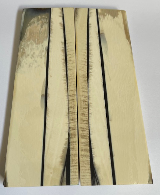 Parallel cut mammoth scales         5-1/16 X 1-9/16 X 1/4