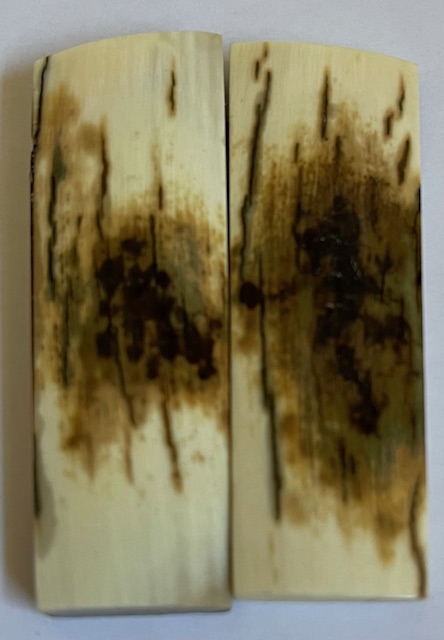  MAMMOTH IVORY SCALES             2-1/2 X 3/4 X 3/16