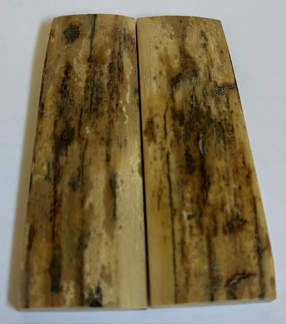  MAMMOTH IVORY SCALES             3-1/16 X 1 X 5/32
