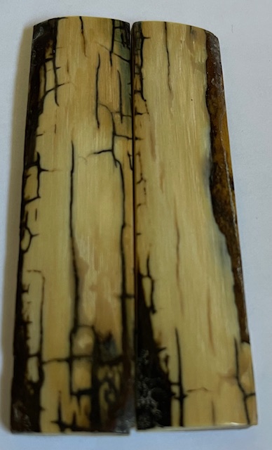  MAMMOTH IVORY SCALES             3-1/4 X 3/4 X 1/8