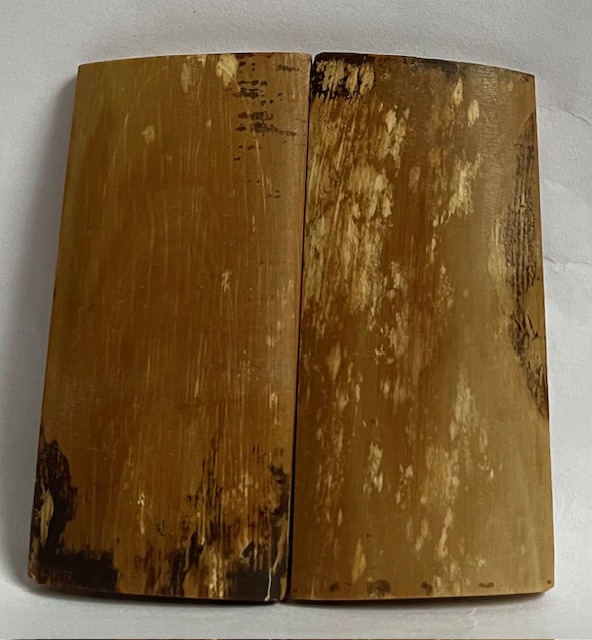  MAMMOTH IVORY SCALES             2-1/2 X 1-3/16 X 1/8 (CLONE)