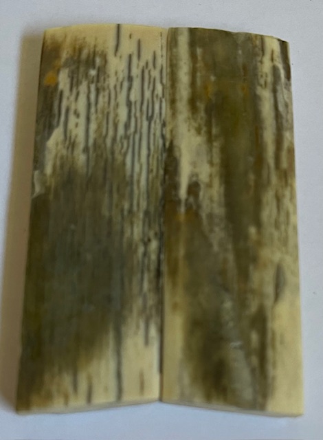  MAMMOTH IVORY SCALES             2-7/16 X 13/16 X 3/16