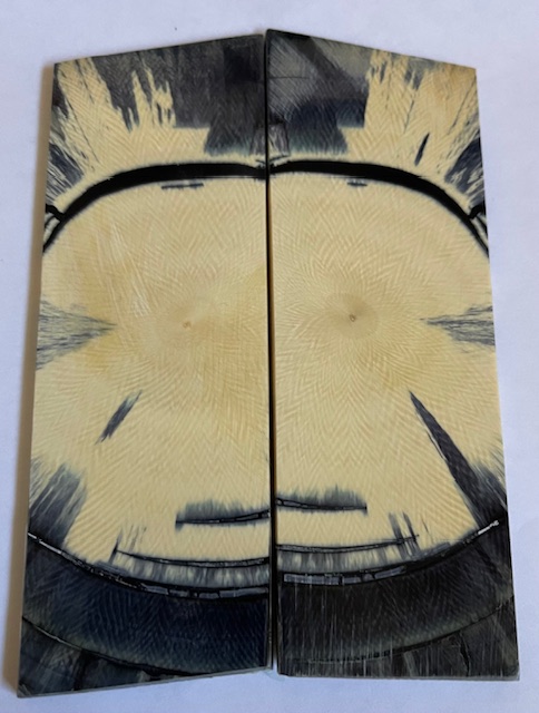 END GRAIN CUT MAMMOTH IVORY              4-11/16 tapers X 1-5/8 X 1/8