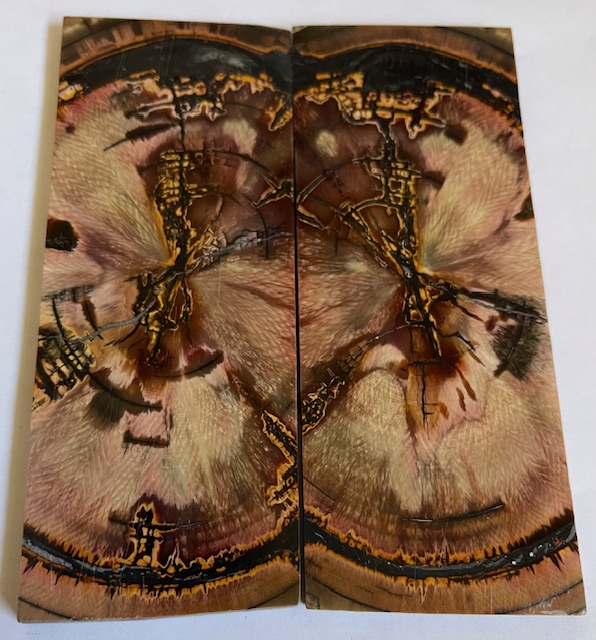 END GRAIN CUT MAMMOTH IVORY              4-1/2 X 1-3/4 X 5/32