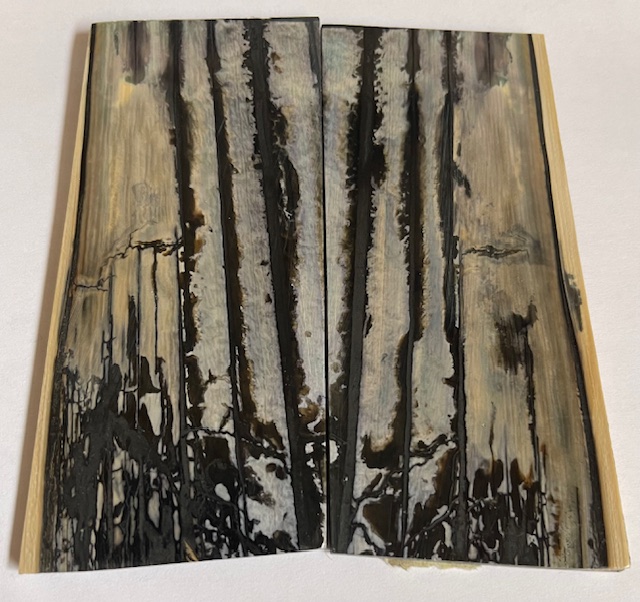 Parallel cut mammoth scales         3-5/8 X 1-9/16 X 1/8