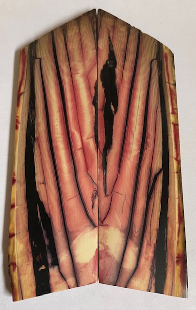 Parallel cut mammoth scales         4-3/8 tapers X 1-7/16 X 5/32