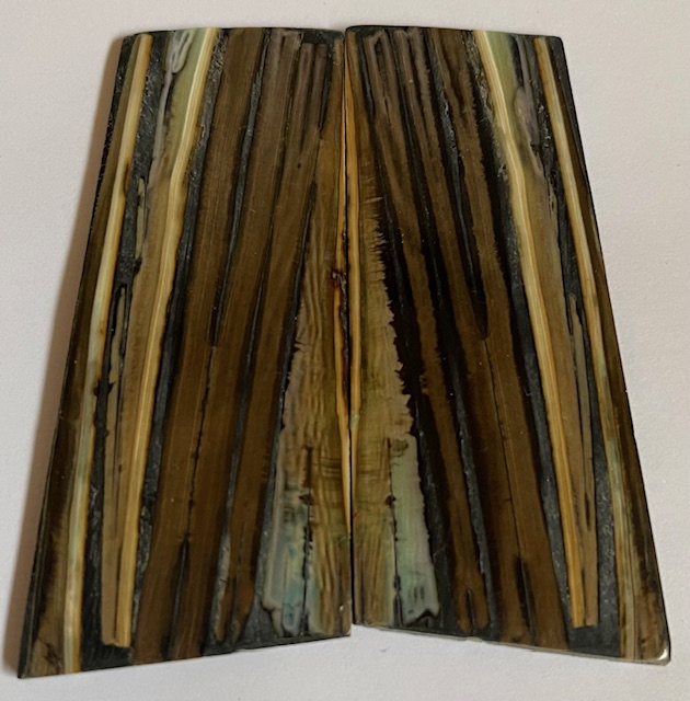 Parallel cut mammoth scales         2-15/16 X 1-1/8 X 1/16