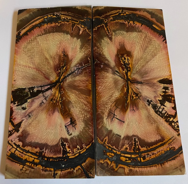 END GRAIN CUT MAMMOTH IVORY               4-5/8 X 2 X 3/16